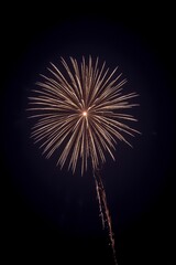 Obraz premium Golden Fireworks Bursting in Night Sky, for Festival Celebrations, New Year Atmosphere, Event Promotion, Night View Decoration Design Scenarios