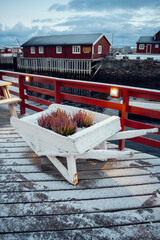 Charming Wheelbarrow Planter Positioned Adjacent to the Water for a Picturesque View