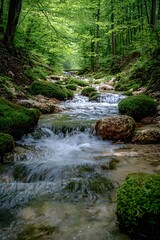 Obraz premium The stream in the mountain valley flows with crystal-clear water, moss-covered rocks surround the area