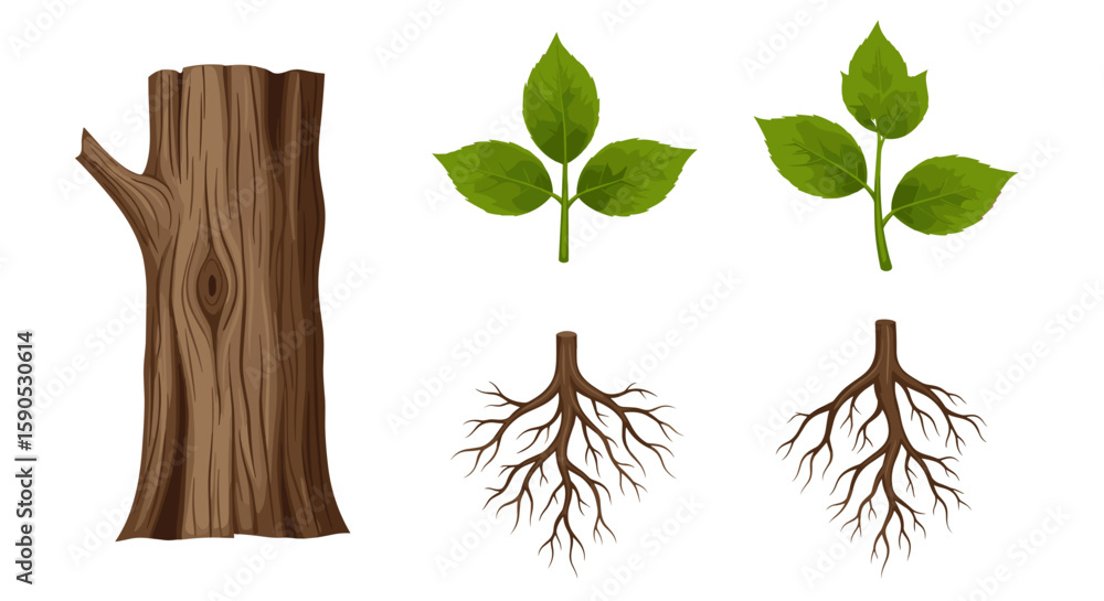 Poster illustration of a tree trunk with two sets of leaves and two sets of roots on a white background