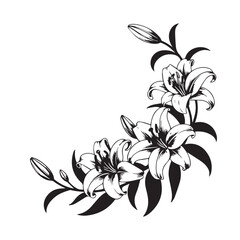 A delicate black and white illustration of a corner floral arrangement featuring blooming lilies and buds, isolated on a white background