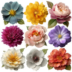 A grid of nine colorful flowers with various shades and petal arrangements isolated on transparent background