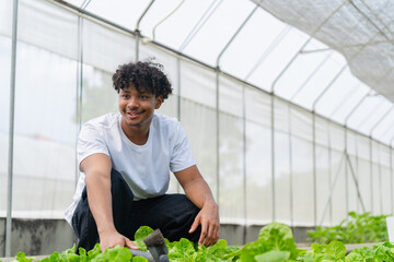 Youth groups inspect vegetables in a greenhouse growing and caring for greens. A diverse team of...