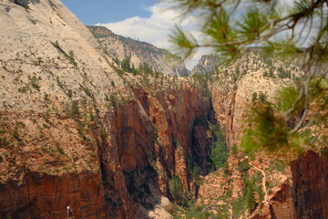 View from top of Angel's landing hike at zion national park Utah of red cliffs and greenery and...
