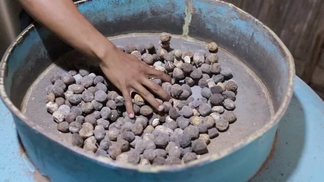 candlenuts are put into the machine to break the candlenut shells