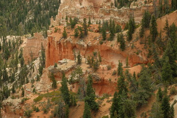Giant rock spire and natural red rock hoodoos in Navajo Trail and combination loop at Bryce Canyon...