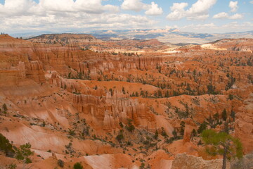 Giant rock spire and natural red rock hoodoos in Navajo Trail and combination loop at Bryce Canyon...