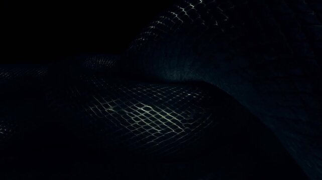 Dark Grid Abstract: A sophisticated dark grid abstract undulates with subtle texture, bathed in dim, atmospheric light, creating a sense of depth and mystery.