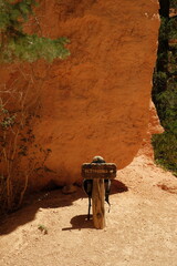 Restrooms sign during combination loop hike at bryce canyon national park