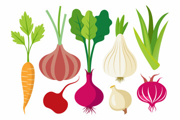 Illustration of fresh root vegetables including carrots onions garlic leeks beets and radishes arranged in a group on a white background healthy eating concept vector