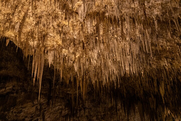 Carlsbad Caverns National Park