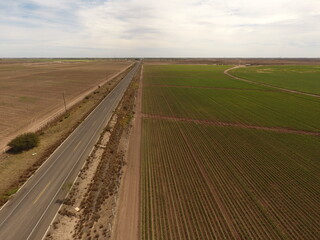 CAMPOS AGRICOLAS Y GANADEROS DEL VALLE DE COMONDU BAJA CALIFORNIA SUR MEXICO
