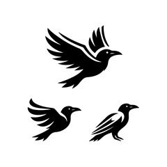 Fototapeta premium Black crow cartoon vector with black shadow