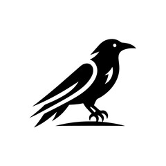 Fototapeta premium Black crow cartoon vector with black shadow