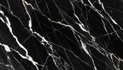 Polished black marble with intricate white and gold veining, showcasing a luxurious and natural stone texture ideal for upscale interior design