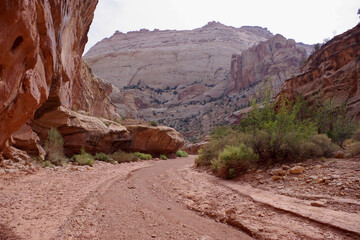 Winding sandstone wash beneath towering cliffs at Capitol Reef National Park Utah