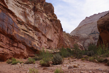 Fototapeta premium Sandstone canyon with desert wash and shrubs