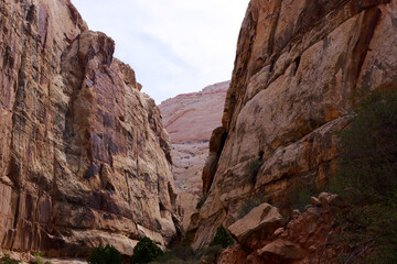 Narrow sandstone canyon walls at Capitol Reef National Park Utah
