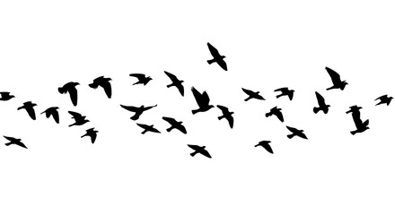 Fototapeta premium Flock of Many Birds Flying – Minimalist Vector on White Background