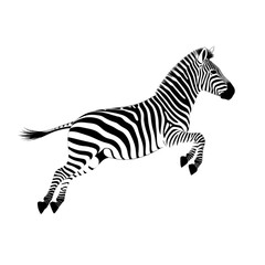 Leaping Zebra Silhouette animal wildlife