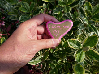 I love you heart rock held over plants