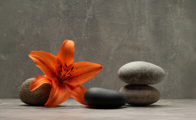 composition with stones for cosmetic perfume background