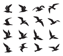 Collection of seagull silhouette vector illustrations in minimal style
