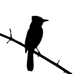 Silhouette Bird on Branch - Black Outline