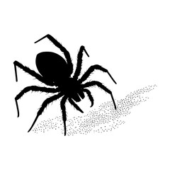 Black Spider Silhouette on Sand Texture