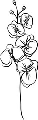 Flower Line Art Hand Drawn