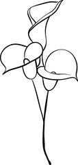 Flower Line Art Hand Drawn