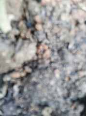 blurry old stone wall
