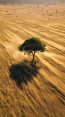Aerial view of a lone acacia tree in the african savanna with motion blur