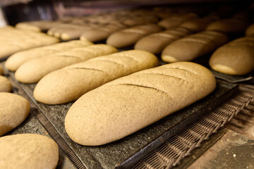 Dough for sliced loaves resting before baking in a bakery plant during the morning shift