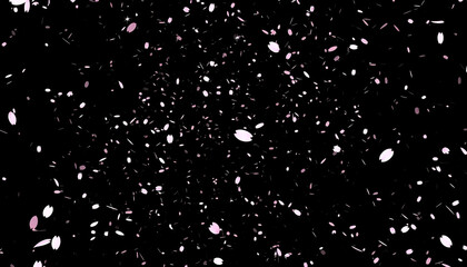 pink cherry blossom petals failing on black background, blossom flying particle animation, Cherry blossom flying loop animation, Pink cherry overly background,