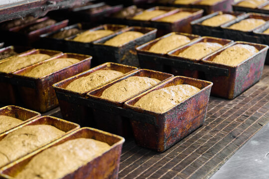 Fermented dough rising in loaf pans ready for baking in commercial bakery setting