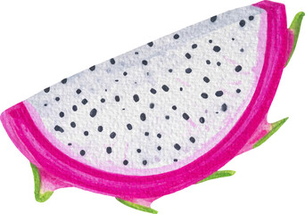 Watercolor Dragon Fruit, Transparent Background