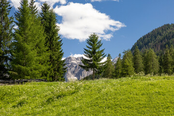 Alpine landscape Sesto Dolomites