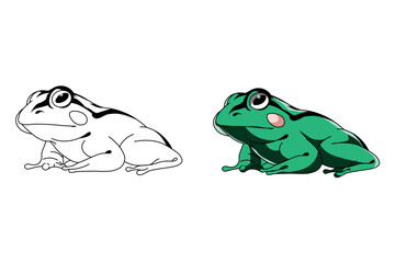 Illustration of a Sitting Green Frog with a Colored and Outline Version