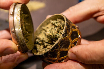 Hands opening a grinder filled with cannabis buds and kief in close-up view.