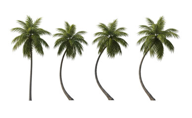 Palm Trees Group, Natural Elements, Green Foliage, Tropical Scene, Isolated Objects Transparent Background