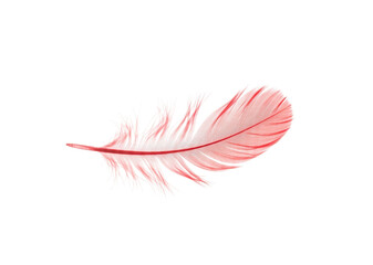 Soft Texture Red Feather, Isolated Element on Transparent Background