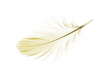 Soft Yellow Feather Plume Detail Texture Light Gentle Element Isolated, PNG