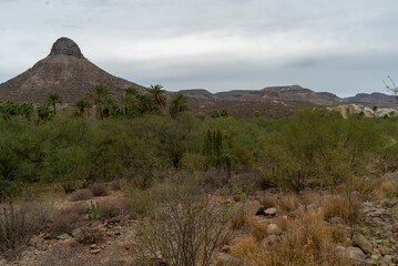 CERRO DEL PILON SAN ISIDRO LA PURISIMA BAJA CALIFORNIA SUR MEXICO