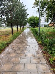 wet pathway stretches through an urban area, bordered by trees. raindrops glisten on tiles, creating tranquil environment as clouds linger overhead. serene moment in urban setting. close up.