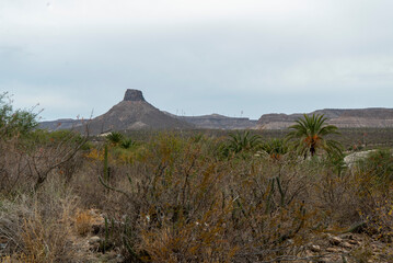 CERRO DEL PILON SAN ISIDRO LA PURISIMA BAJA CALIFORNIA SUR MEXICO