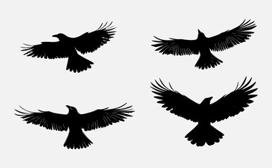 Obraz premium Flying bird silhouette vector set with spread wings and detailed feather shapes