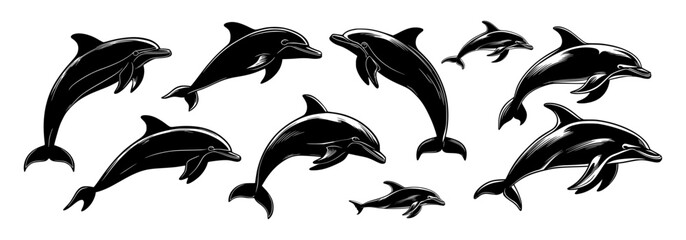 Obraz premium Dolphin silhouette vector set showing jumping and swimming poses in black design