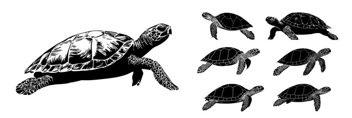 Turtle silhouette vector collection of sea turtles in swimming and side view angles