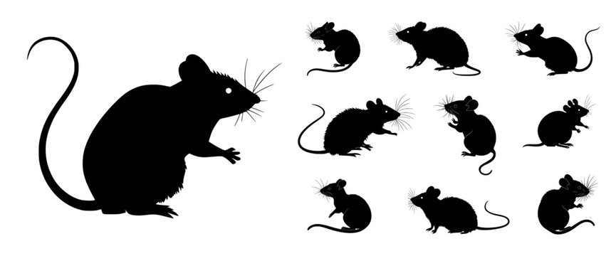 "Mouse Vector" Images – Browse 1,550 Stock Photos, Vectors, and Video ...